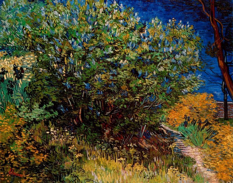 Arbustos Van Gogh 1889