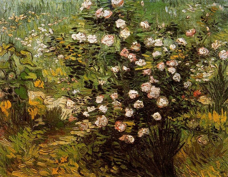 Rosal en flor Van Gogh 1889